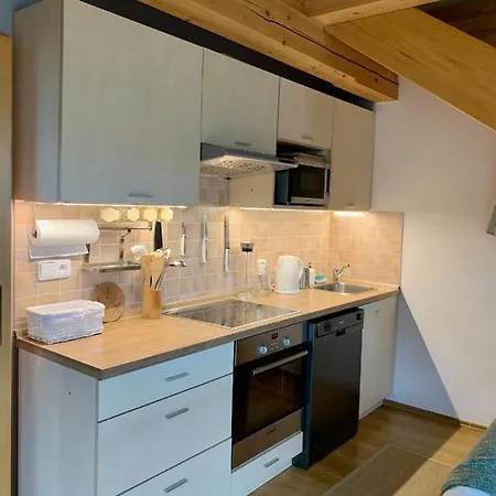 Stare-hory Krkonose Apartment