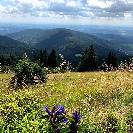 Stare-hory Krkonose 公寓 *