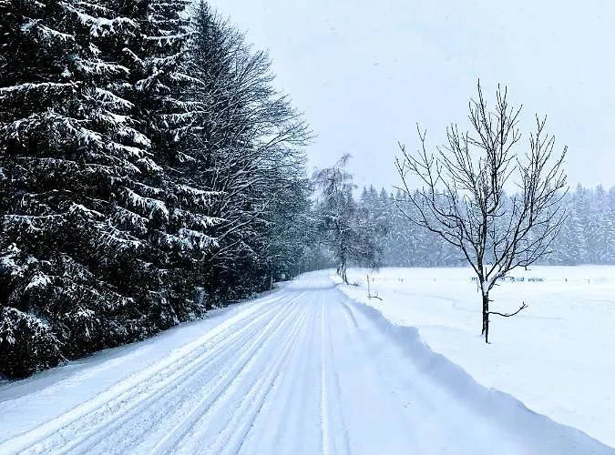 Stare-hory Krkonose * Roudnice (Liberec)