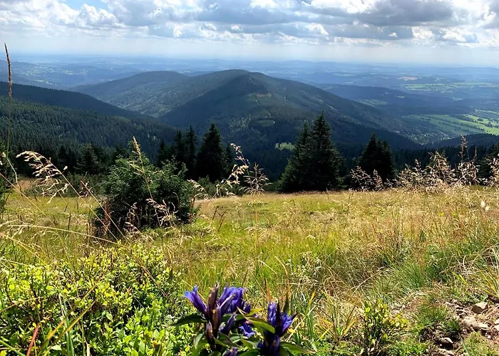 Stare-hory Krkonose Lägenhet *